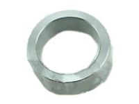 OEM RETAINER, Rear Axle Bearing - 42423-60050