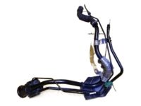 OEM 2012 Lexus CT200h Hose, Fuel Tank To Filler Pipe - 77213-76010