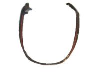 OEM Lexus WEATHERSTRIP, Rear Door - 67896-60040