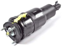 OEM Lexus LS600h Cylinder Assembly, Pneumatic - 48010-50341