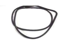 OEM 2015 Lexus LS460 Weatherstrip, Front Door, LH - 67862-50040