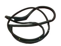 OEM Lexus RX330 Weatherstrip, Front Door, RH - 67861-0E010