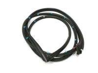 OEM 2000 Lexus GS400 Weatherstrip, Front Door, RH - 67861-30251