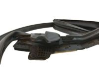 OEM Lexus RX450h WEATHERSTRIP, Front Door - 67861-0E080
