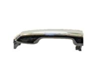 OEM Lexus GX460 Rear Door Outside Handle Assembly - 69210-60170-A0