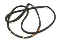 OEM Toyota Land Cruiser Door Weatherstrip - 67862-60101