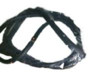 OEM 2015 Lexus LS460 Weatherstrip, Front Door, Upper, LH - 67864-50040
