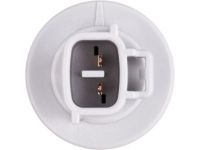 OEM Lexus Socket Plug - 90075-99080