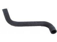 OEM Lexus LX470 Hose, Radiator, NO.2 - 16572-50150