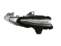 OEM 2012 Lexus RX350 Lamp Assy, Side Turn Signal, RH - 81730-48020