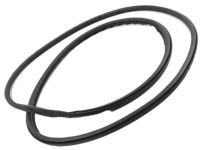 OEM 2007 Toyota Land Cruiser Glass Assembly Seal - 63251-60062