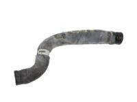 OEM 2018 Lexus ES350 Hose, Radiator - 16571-31310