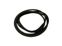 OEM Toyota 4Runner Glass Weatherstrip - 63251-12190