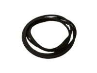 OEM Scion xB Glass Weatherstrip - 63251-12190