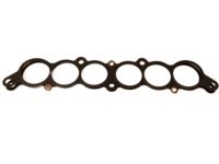 OEM Plenum Gasket - 17176-62040