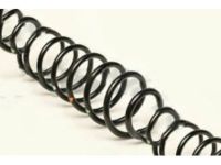 OEM Lexus GS430 Spring, Coil, Front - 48131-3A271