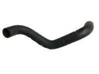 OEM 2002 Lexus RX300 Hose, Radiator, Outlet - 16572-20060