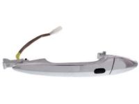 OEM 2017 Lexus LS460 Front Door Outside Handle Assembly, Left - 69220-33060