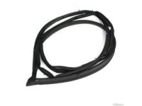 OEM 1996 Toyota Land Cruiser Door Weatherstrip - 67862-60073