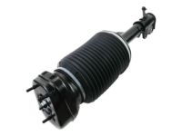 OEM 2004 Lexus RX330 Cylinder Assy, Pneumatic, Rear RH W/Shock Absorber - 48080-48030