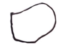 OEM Lexus RX330 Weatherstrip, Rear Door, RH - 67871-0E010
