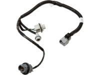 OEM Lexus SC300 Cord, Rear Combination - 81555-24070