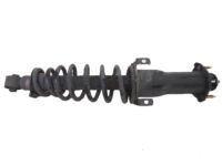 OEM 2001 Lexus IS300 Spring, Coil, Rear - 48231-53030