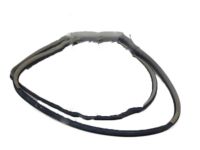 OEM Lexus Weatherstrip, Front Door Opening Trim, RH - 62311-60110-A0