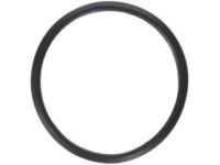 OEM Toyota Sienna Water Inlet Seal - 16325-62010