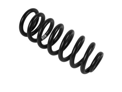 Mopar 4895020AA Front Coil Spring