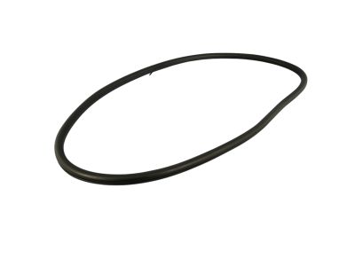 Mopar 68144971AB WEATHERSTRIP-Rear Door Body Mounted