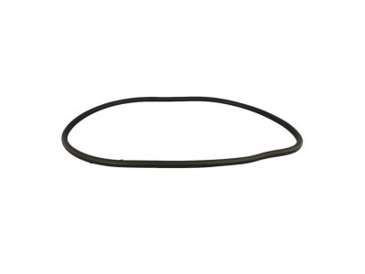 Mopar 68144971AB WEATHERSTRIP-Rear Door Body Mounted