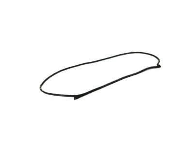 Mopar 68291602AE W/STRIP-Front Door Mounted