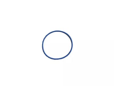 Mopar 68227803AB O Ring