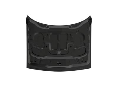 Mopar 68259671AG Hood Panel