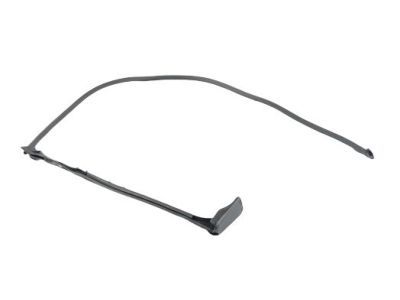 Mopar 68229641AD WEATHERSTRIP-Cargo Door