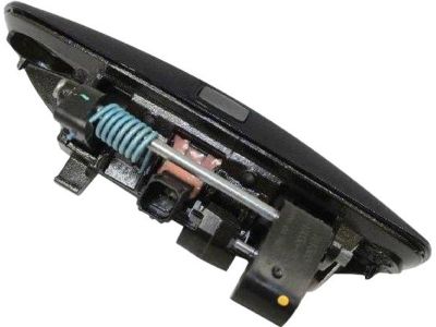 Mopar 1MZ84RY4AJ Handle-Front Door Exterior