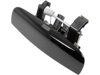 Mopar 1MZ84RY4AJ Handle-Front Door Exterior