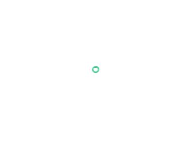 Mopar 68322273AA O-Ring-A/C Line
