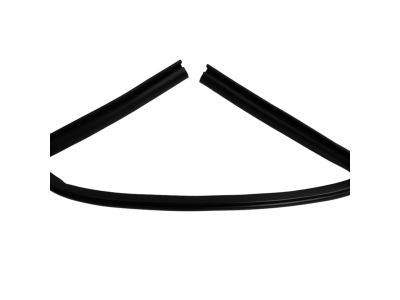 Mopar 4814639AC WEATHERSTRIP-Rear Door Flush Glass