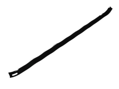 Mopar 5109892AC Tape-Sliding Door