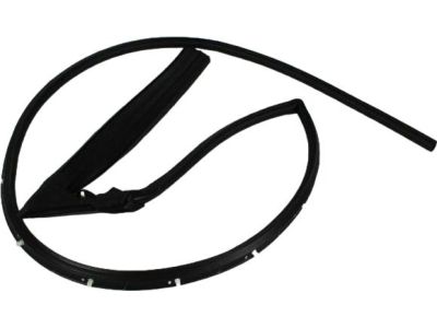 Mopar 68067557AB WEATHERSTRIP-Front Door Mounted