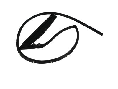 Mopar 68067557AB WEATHERSTRIP-Front Door Mounted