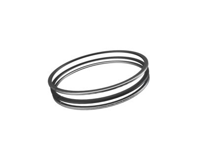 Mopar 68298025AB Ring Pkg-Complete Engine