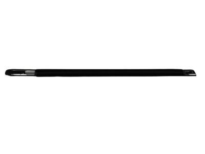 Mopar 4805807AE WEATHERSTRIP-Front Door Belt