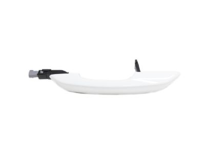 Mopar 6XA91GW7AC EXTERIOR DOOR