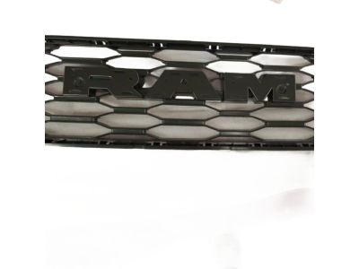 Mopar 68396715AA Grille