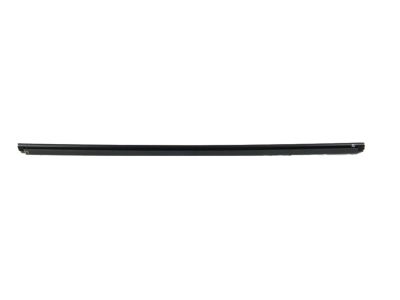 Mopar 68359297AB W/STRIP-Door Belt Inner