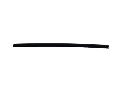Mopar 68359297AB W/STRIP-Door Belt Inner