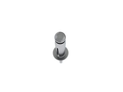Mopar 68353598AA Rivet